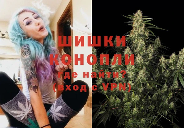 spice Абаза