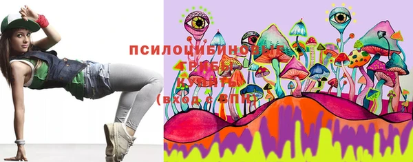 spice Абаза