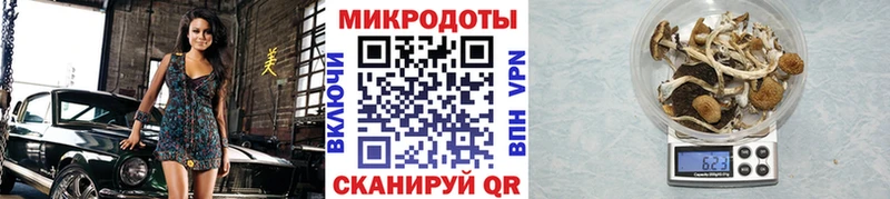 Псилоцибиновые грибы Psilocybe  Усть-Катав 